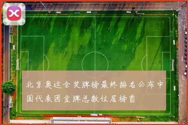 北京奥运会奖牌榜最终排名公布中国代表团金牌总数位居榜首